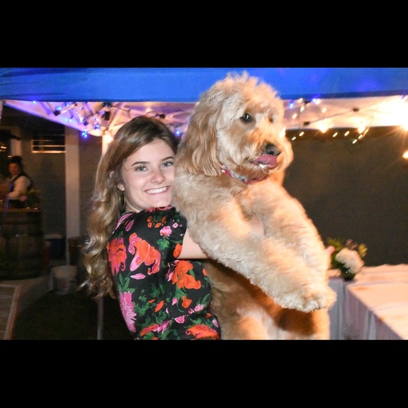 Women’s Small Zara red and pink floral dress - Picture 5 of 5